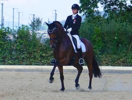 Dressurprüfung 2015_7