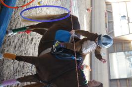 Fasnachtsreiten 2019_9