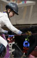 Gymkhana Wettkampf 2018_10