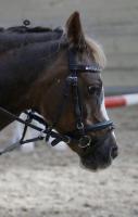 Gymkhana Wettkampf 2018_55