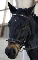 Gymkhana Wettkampf 2018_77