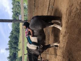 Reitlager_11