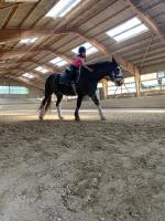 Reitlager_1