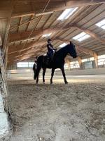 Reitlager_2