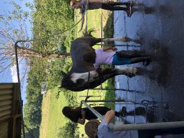 Reitlager_3