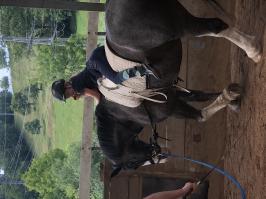 Reitlager_4