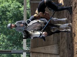Reitlager_4