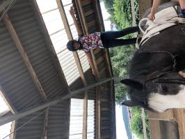 Reitlager_5