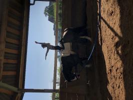 Reitlager_5