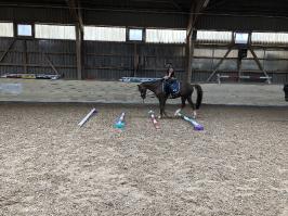 Reitlager_5