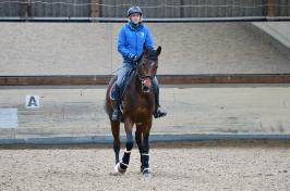 Trainingsdressur 2018_10
