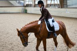 Trainingsdressur 2018_17