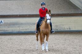 Trainingsdressur 2018_19