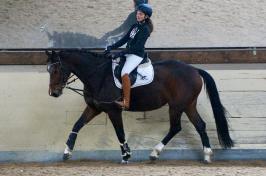 Trainingsdressur 2018_1
