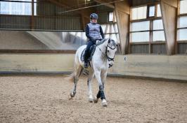 Trainingsdressur 2018_1