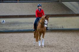 Trainingsdressur 2018_20