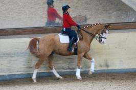 Trainingsdressur 2018_21