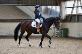 Trainingsdressur 2018_2
