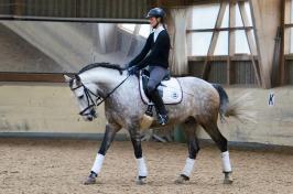 Trainingsdressur 2018_3