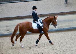 Trainingsdressur 2018_4