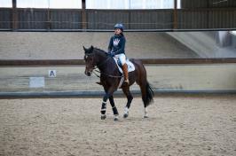 Trainingsdressur 2018_4