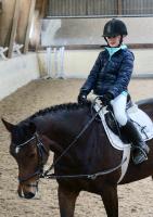Trainingsdressur 2018_5
