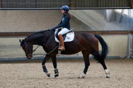 Trainingsdressur 2018_5