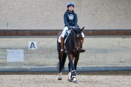 Trainingsdressur 2018_6
