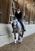 Trainingsdressur 2018_6