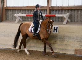 Trainingsdressur 2018_6