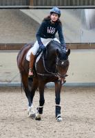 Trainingsdressur 2018_7