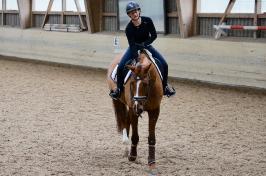 Trainingsdressur 2018_8