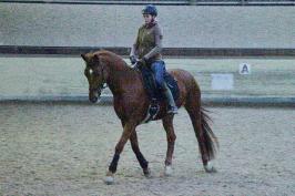 Trainingsdressur 2018_8
