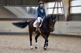 Trainingsdressur 2018_9