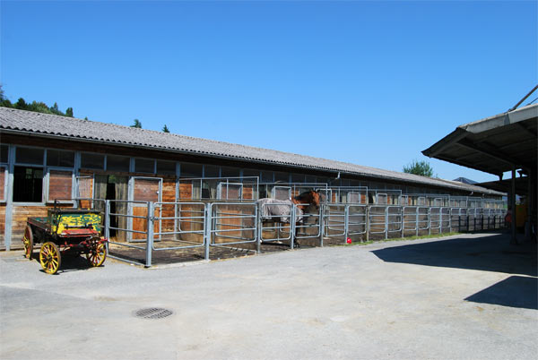 Stall